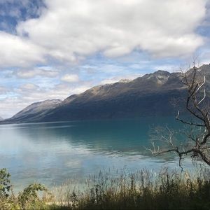 Meet your Posher, Benjamin